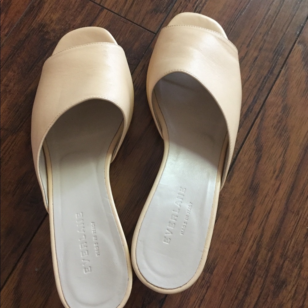 Everlane slide sandal wedges//size 9